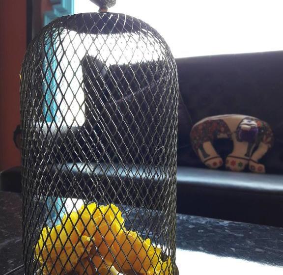 Bee Sleep Hostel & Nana Art Gallery 19