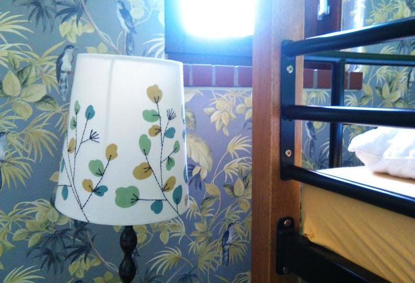 Herberge Penthouse Backpackers 4