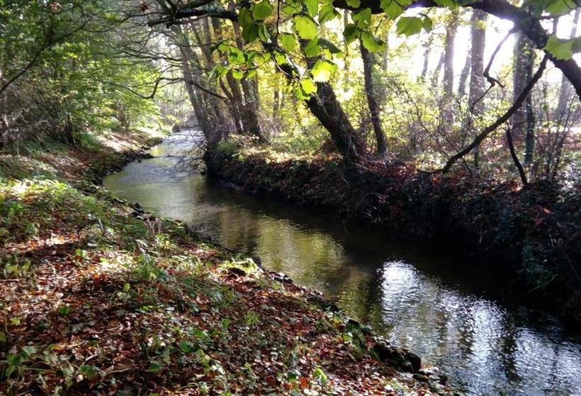 Herberge Penthouse Backpackers 7