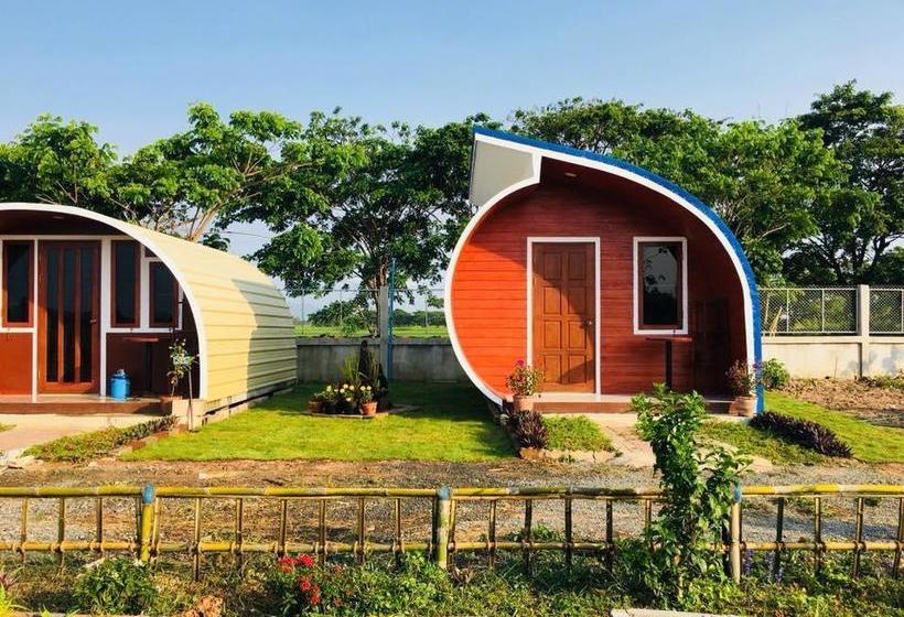 Rimeng Resort Phayao