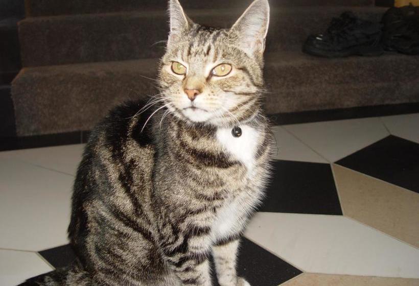 Bed and Breakfast Silverdale Hilltop Lodge 19