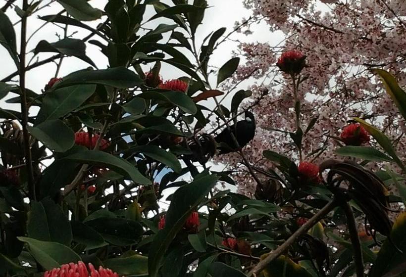 Bed and Breakfast Karens Garden Retreat Cambridge