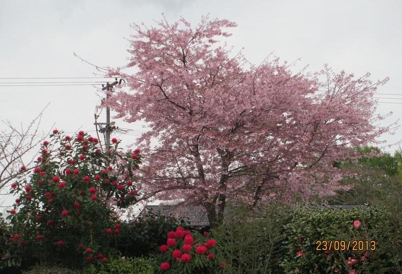 Bed and Breakfast Karens Garden Retreat 8