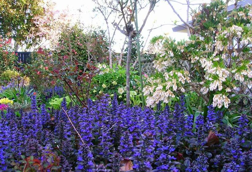 Bed and Breakfast Karens Garden Retreat 9