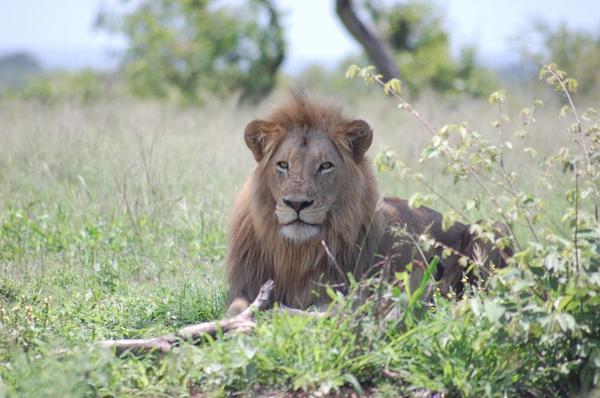 Hotel Tamboti River Lodge Hectorspruit Mpumalanga