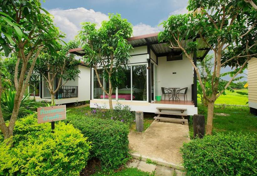 Bosswin Home Resort 15