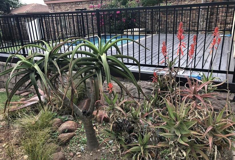 Hotel Sunrise Boutique 12