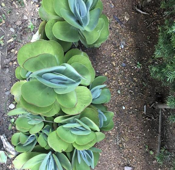 Hotel Sunrise Boutique 14