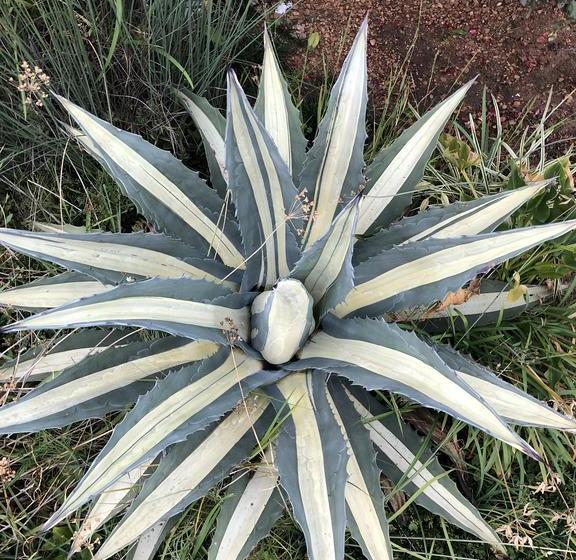 Hotel Sunrise Boutique 16