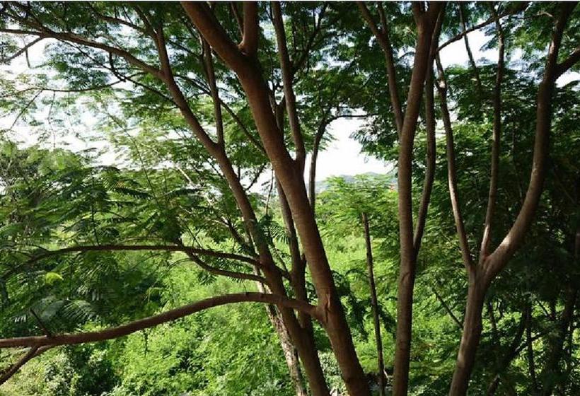 Hotel Inchantreedoopool 13