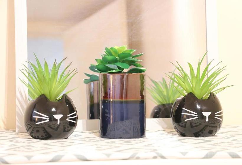 Bed and Breakfast Twin Room In A Beautiful House 17