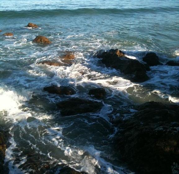 Bed and Breakfast Karaka Bays Wellington Isla Norte