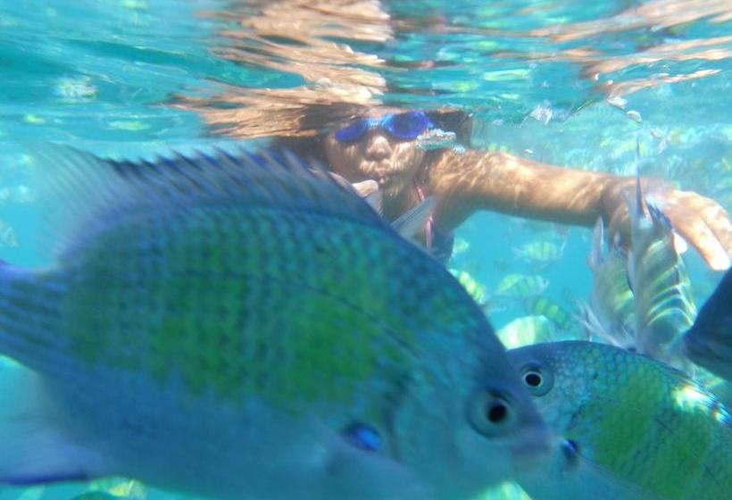 Bed and Breakfast Holiday Rawai 5