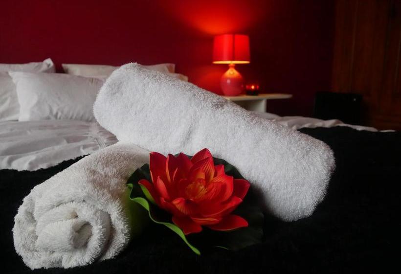 Dunedin Bed & Breakfast Day Spa