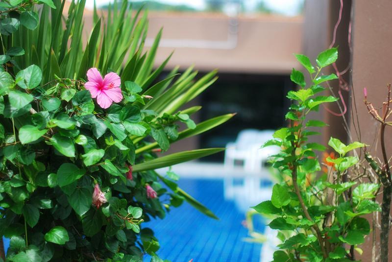 Hotel Hanna Villa 16