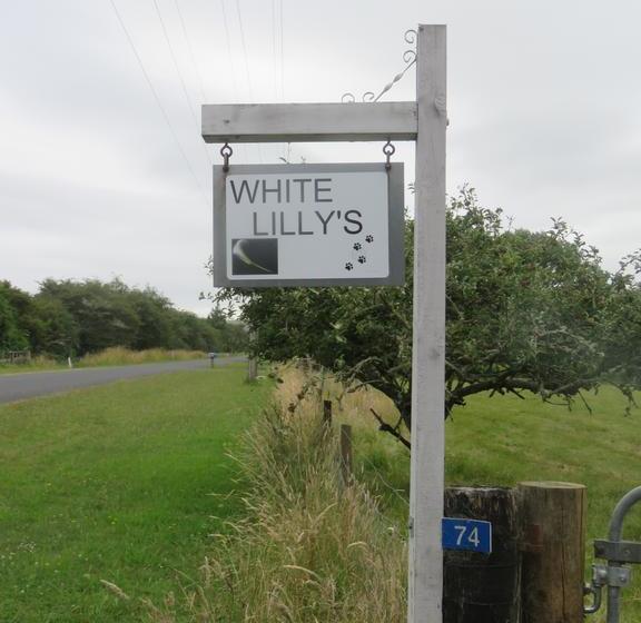 Whitelillys Bed And Breakfast Farmstay 13