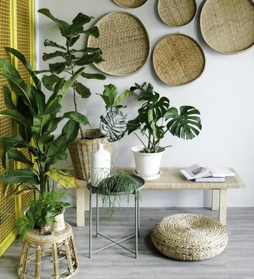 Hostel Whereder Poshtel 5