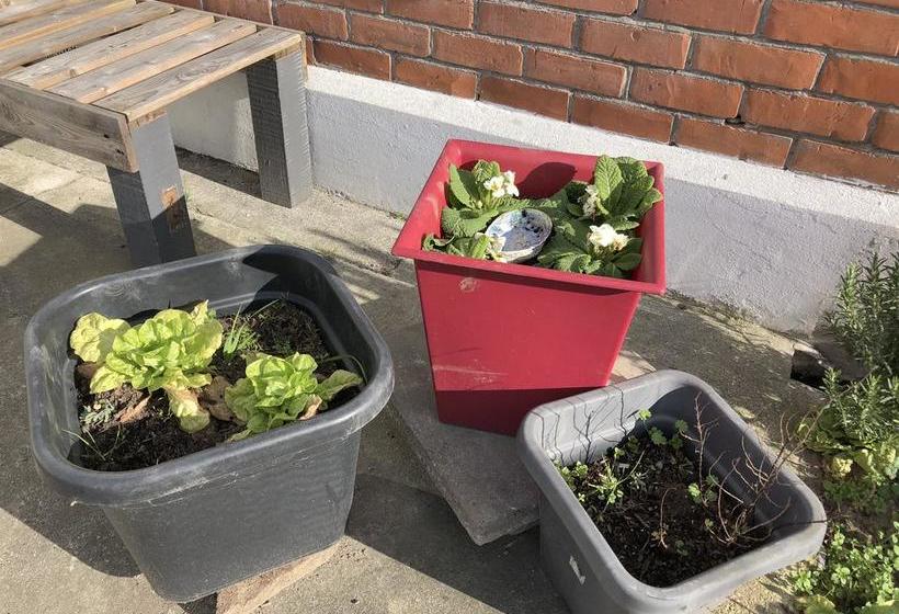 Bed and Breakfast Living On Dee 1