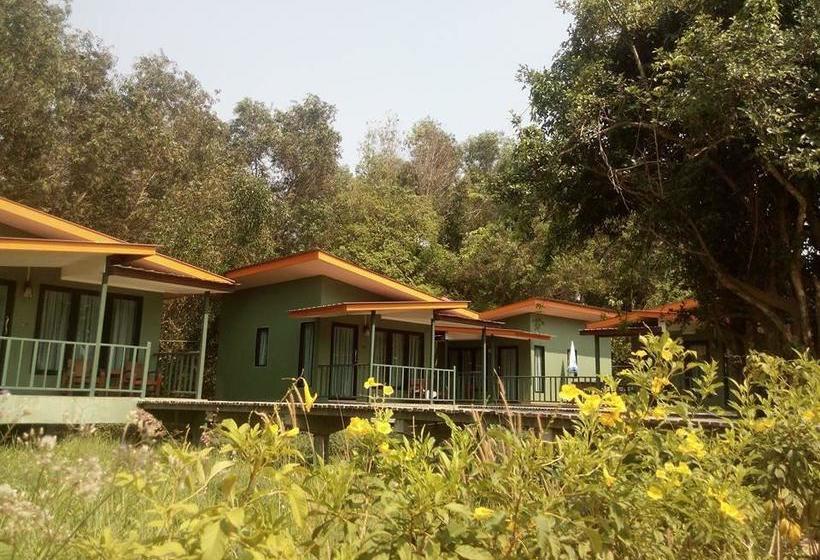 Resort Buppa Harley 2