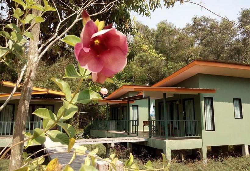 Resort Buppa Harley 3