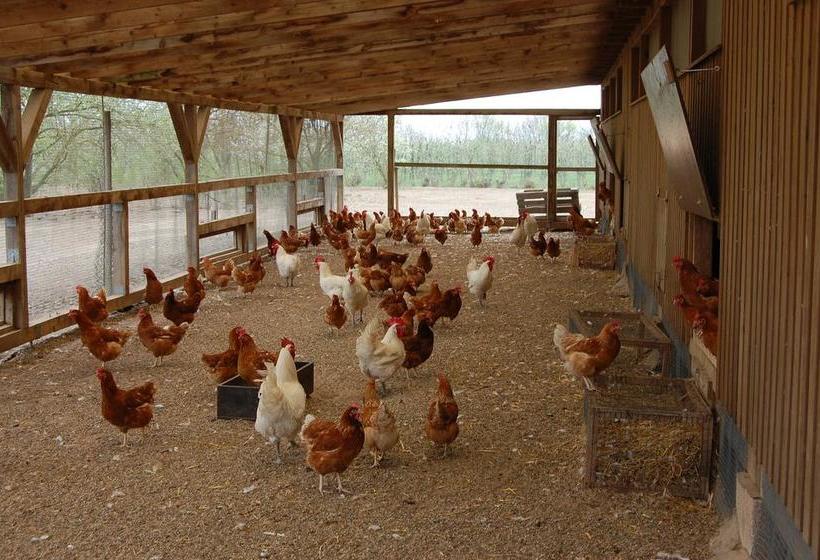 Hôtel Domäne Mechtildshausen 10