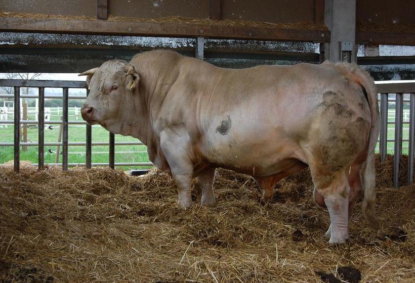 Hôtel Domäne Mechtildshausen 11