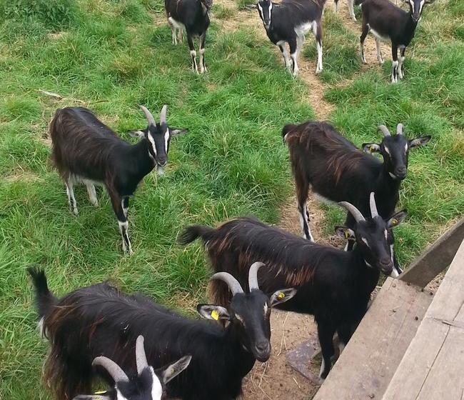 Hôtel Domäne Mechtildshausen 8