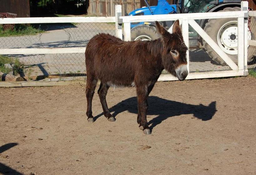 Hôtel Domäne Mechtildshausen 9