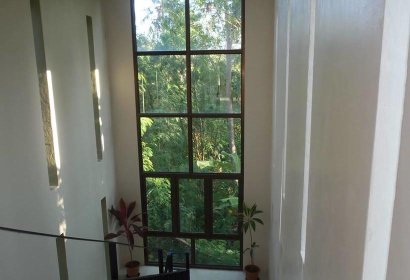 Bed and Breakfast Cview Boutique 16