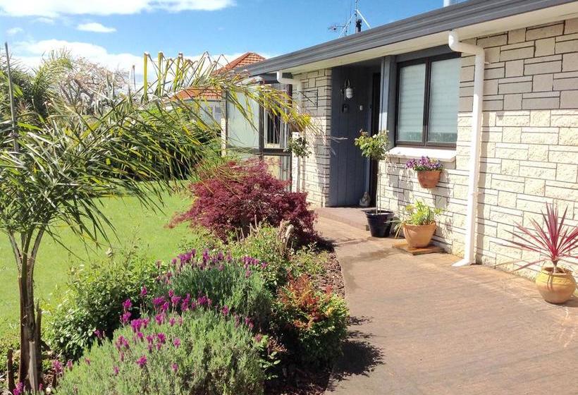 Bed and Breakfast 66 Chaucer 10