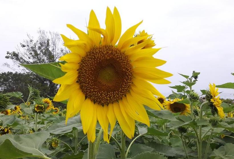 Hotel Ozone Health Resort 3