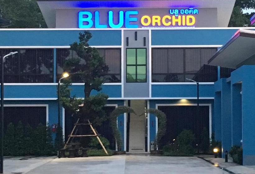 Hotel Blue Orchid Resort 1