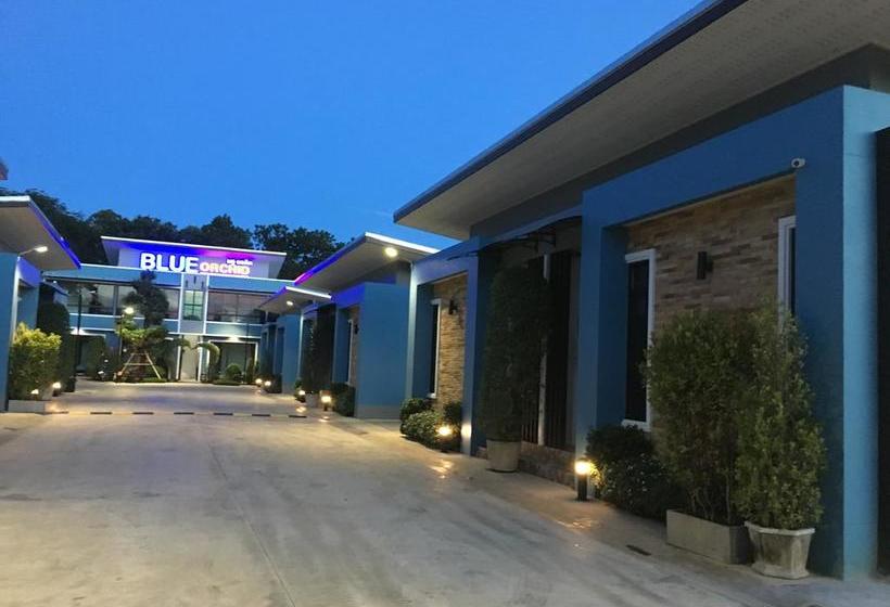 Hotel Blue Orchid Resort 13