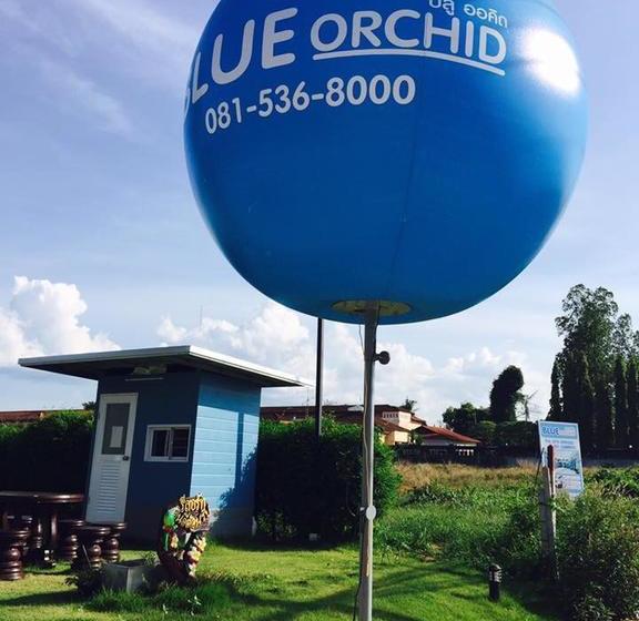 Hotel Blue Orchid Resort 15