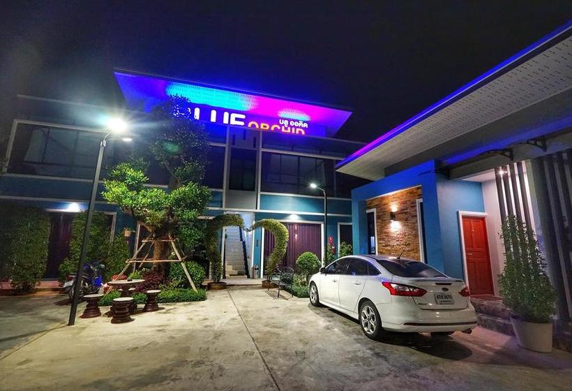 Hotel Blue Orchid Resort 18