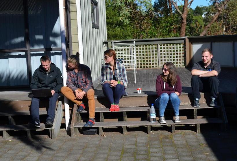 Bell Lodge Motel & Backpackers Hostel Tauranga