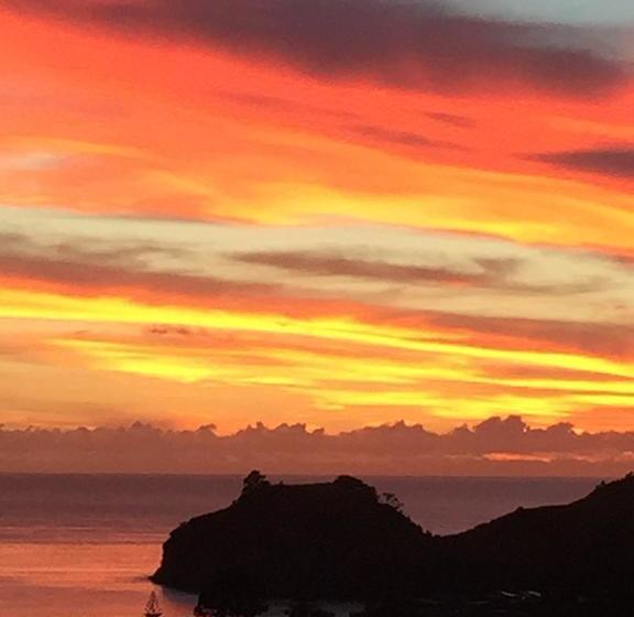 Bed and Breakfast Hahei Sea Vista 8