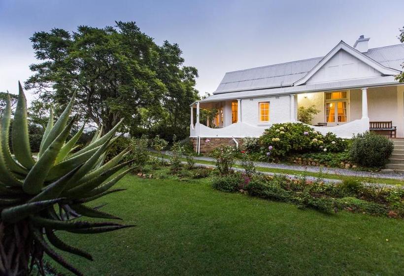 Bed and Breakfast Mimosa 11