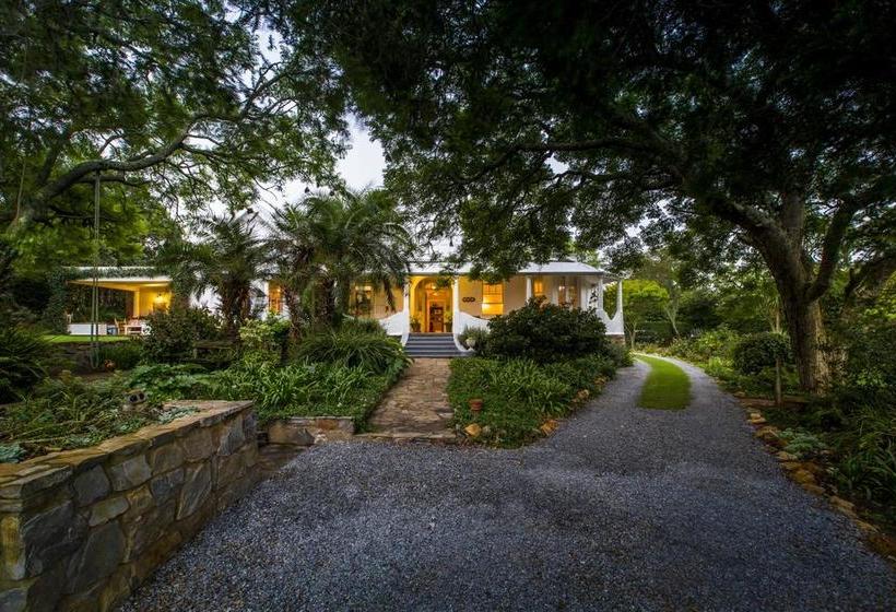 Bed and Breakfast Mimosa 12