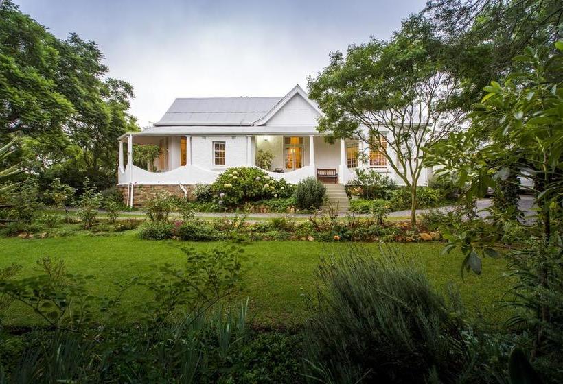 Bed and Breakfast Mimosa 14