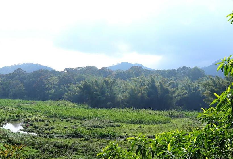 Oyo 10151 Hotel Forest Inn 20