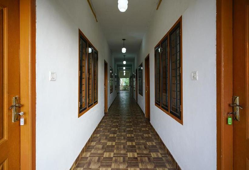 Hotel Oyo 10644 M S Holiday Resort 13