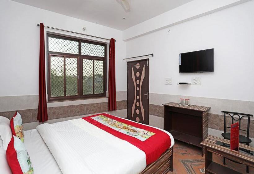 Hotel Oyo 10610 Near Iit Jodhpur 12