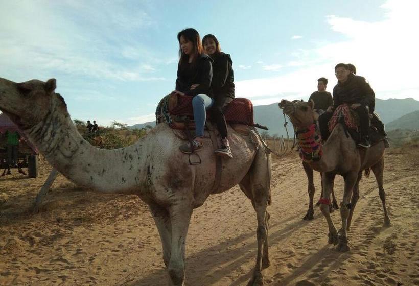 Hotel Royal Maharaja Heaven Dessert 4