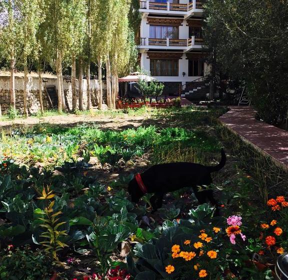 Hotel Deskit Villa Leh Jammu y Cachemira