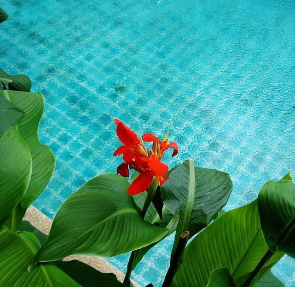 Resort The Weenee Boutique 19