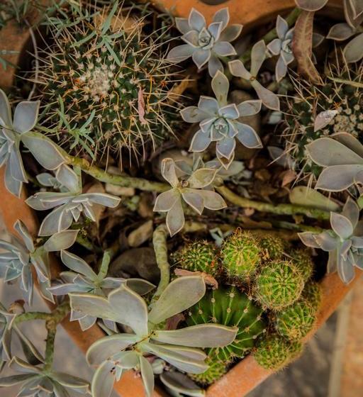 Hotel Rouana Guest Farm 19