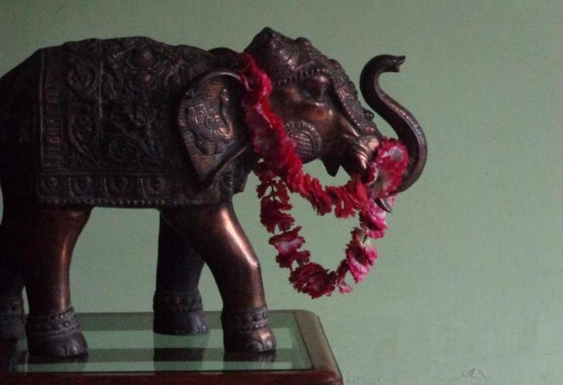 Hotel Laxmi Palace 11