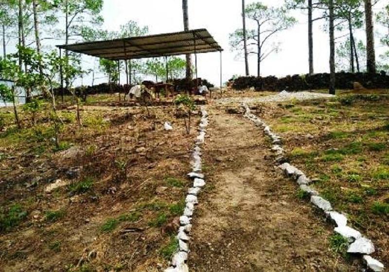 Hotel Camp Chayan Lansdowne 6