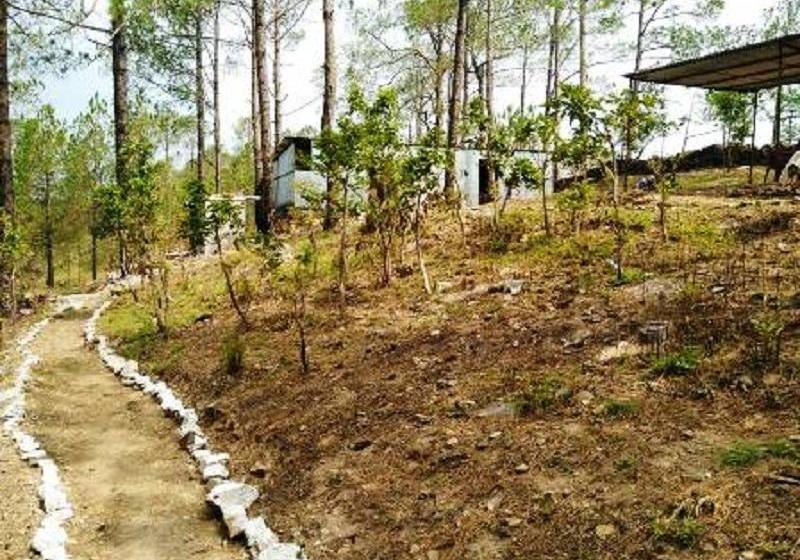 Hotel Camp Chayan Lansdowne 9